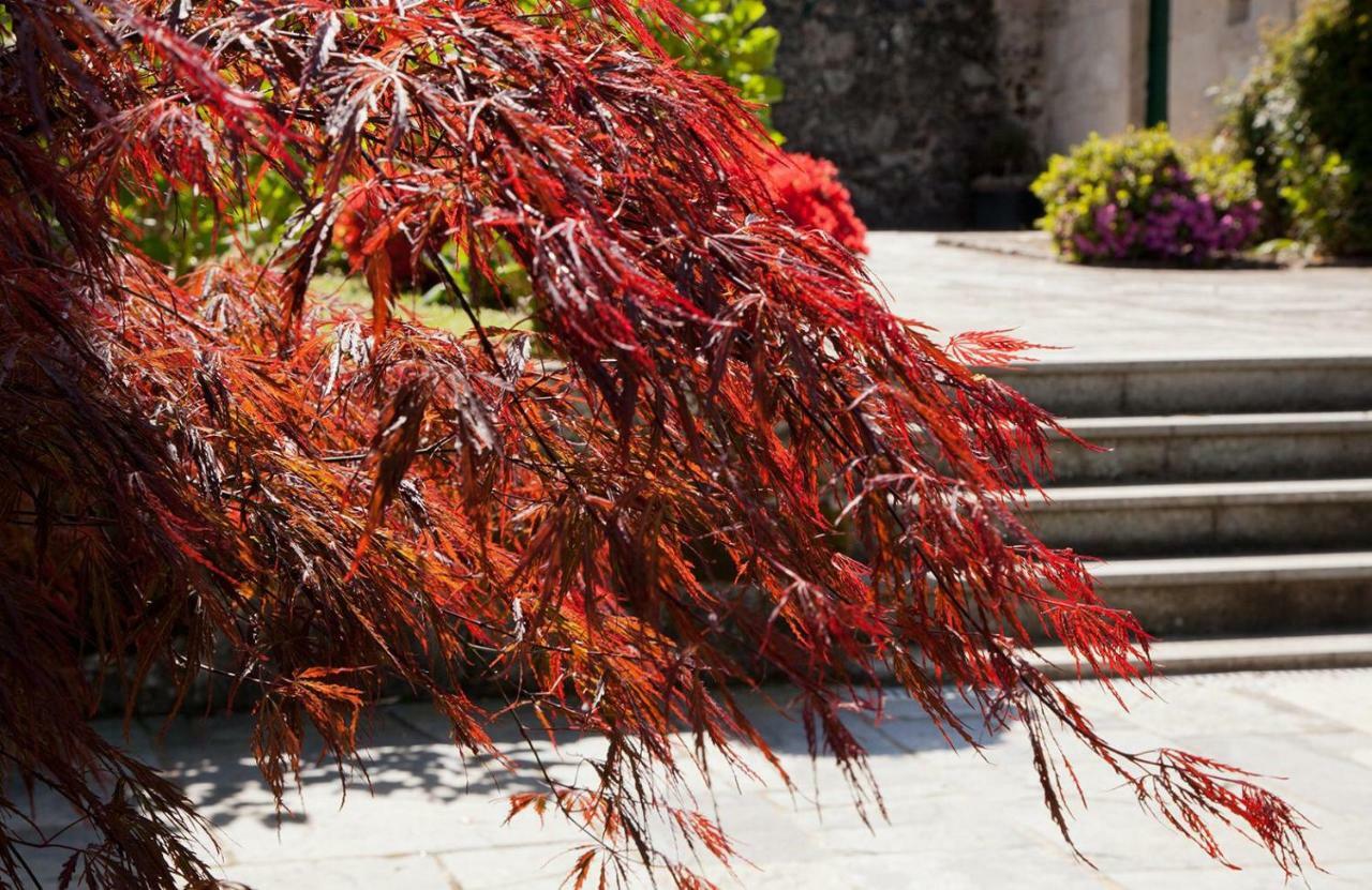 Jardines Pazo A Fabrica Celanova Exterior photo