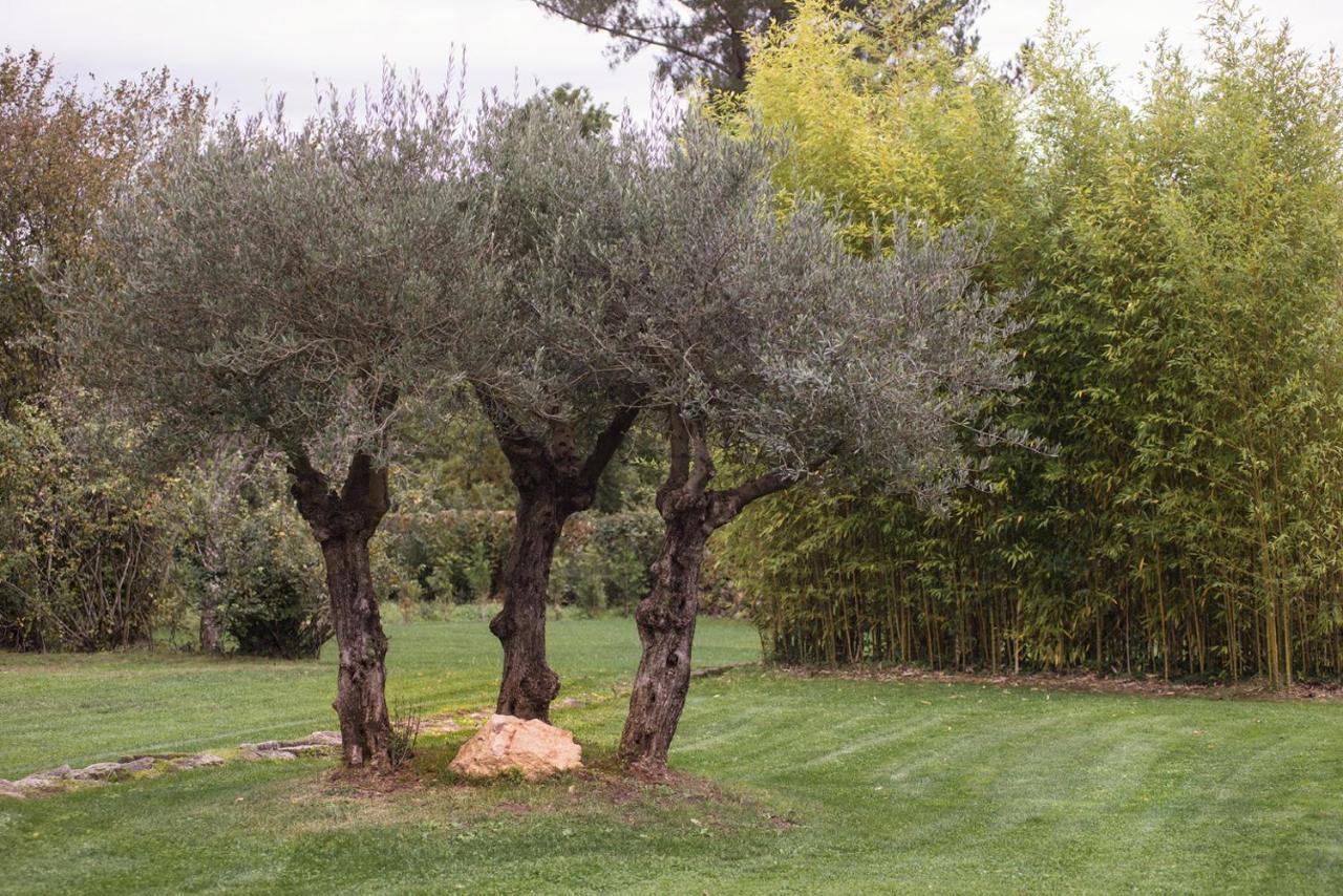 Jardines Pazo A Fabrica Celanova Exterior photo